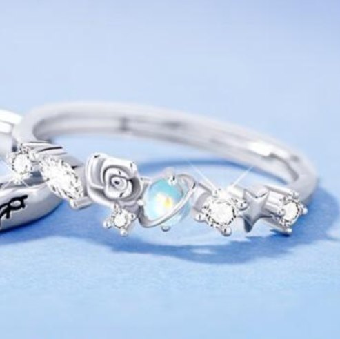 Little Prince and Rose Couple Rings