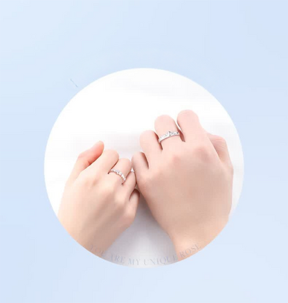 Little Prince and Rose Couple Rings
